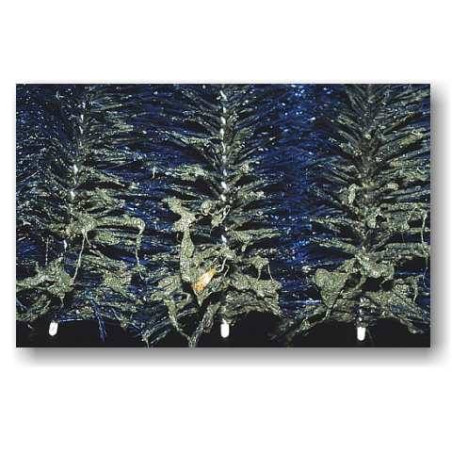 Standard tó szűrő kefe (30x15 cm)