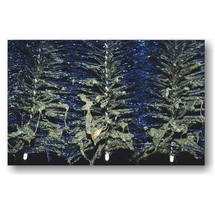 Standard tó szűrő kefe (30x15 cm)