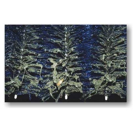 Standard tó szűrő kefe (50x15 cm)