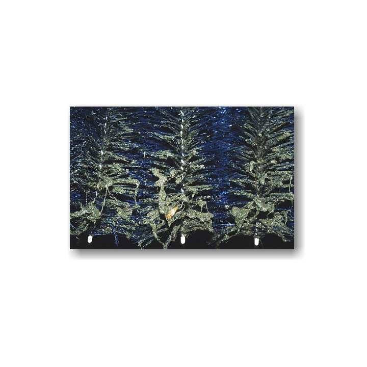 Standard tó szűrő kefe (50x15 cm)