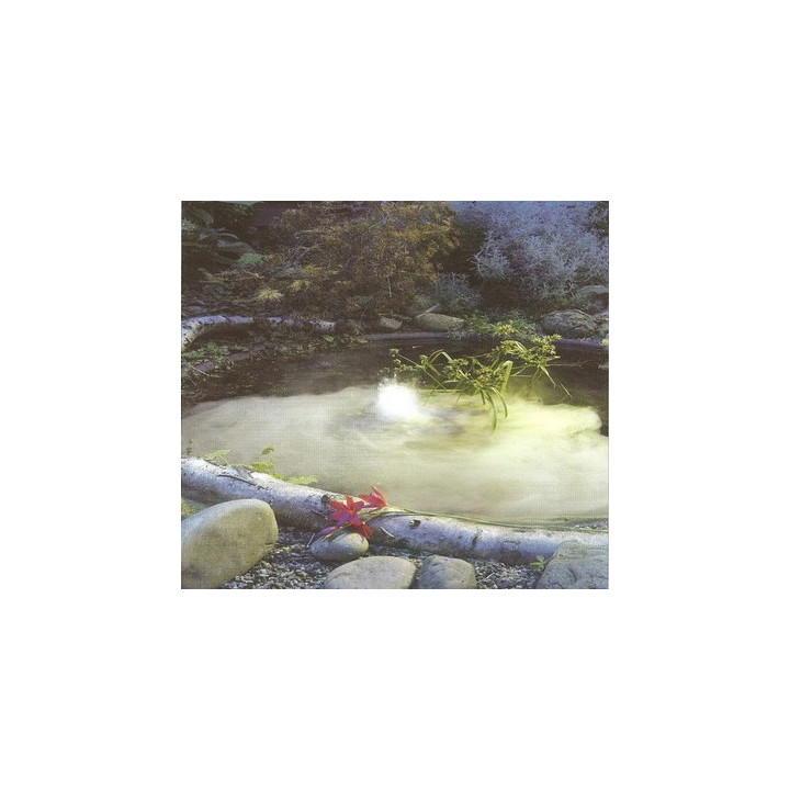 Ubbink MystMaker I beltéri ködösítő (24W)