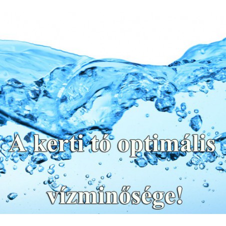 A kerti tó optimális vízminősége!
