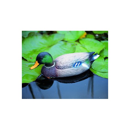 Úszó vadkacsa hím 40 cm élethű madár figura (csalimadár)