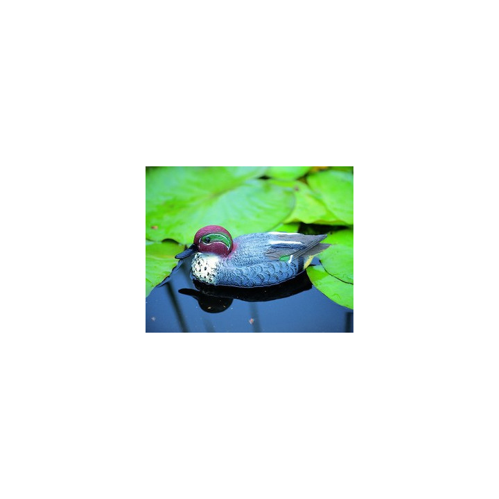 Úszó réce hím, 31 cm - Élethű madár figura - csalimadár