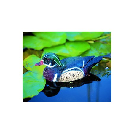 Úszó Carolina kacsa hím 30cm- Élethű madár figura - (csalimadár)