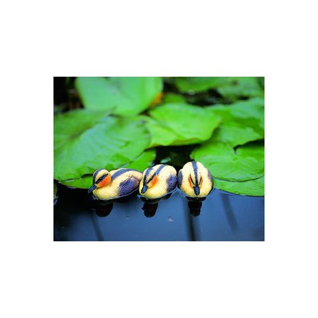 Úszó kiskacsa sárga, 12 cm / Élethű madár figura