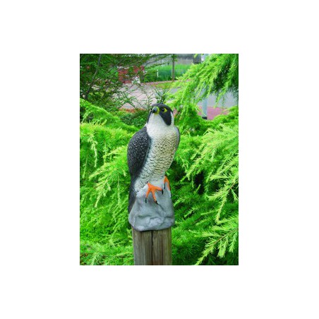 Madárriasztó sólyom, 40 cm - Élethű műanyag figura