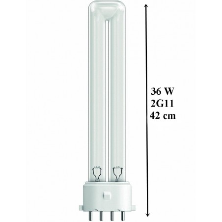 UVC PL Izzó 2G11 36W