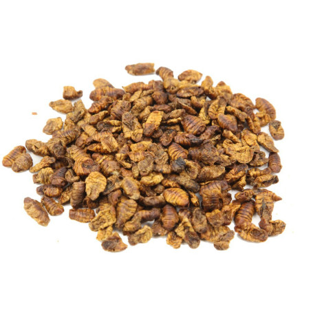 Szárított selyemhernyó lárva 5 kg