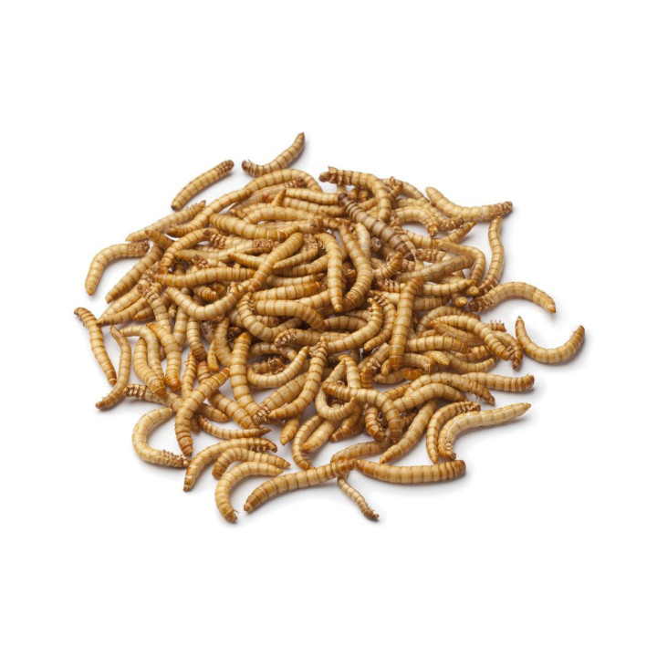 Szárított lisztkukac 200g