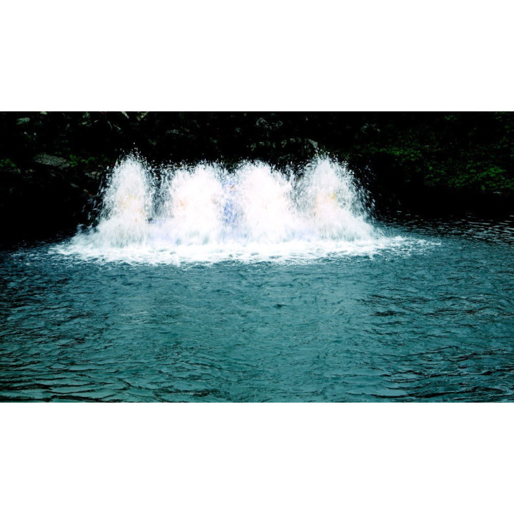 Lapátkerekes halastó levegőztető Paddle Wheel (PAD-2.2) 2200w 380V