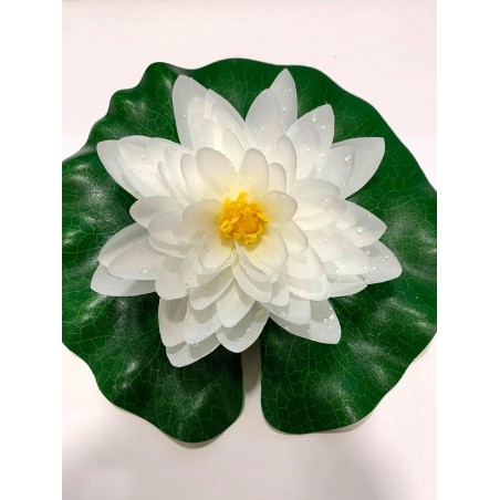 Élethű Tavirózsa fehér 20cm (1389438)