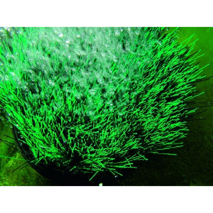 Oase OxyTex Set 1000 CWS kerti tó levegőztető szett (15W) (1000L/h)