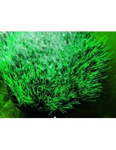 Oase Oxy-tex 400 CWS kerti tó levegőztető (400L/h)