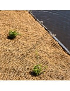 Ubbink töltésgyékény  1 fm / ár