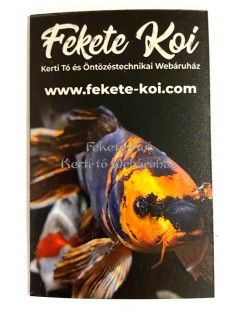 Kois hűtőmágnes butterfly