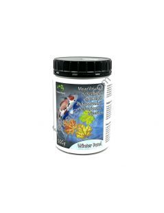 Home Pond Winter Pond 500g – téli algagátló