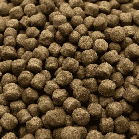 Koi Multi Season 6 mm 1000 g ( tavaszi és őszi tavi haltáp )