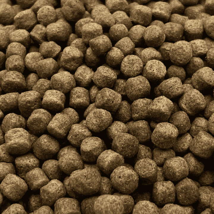 Koi Multi Season 6 mm 1000 g ( tavaszi és őszi tavi haltáp )