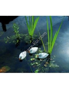 Úszó kiskacsa fehér, 12 cm / Élethű madár figura