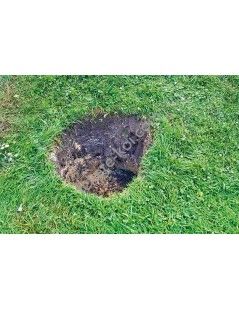 Oase FiltoClear szett 31000 kerti tó nyomásszűrő szett