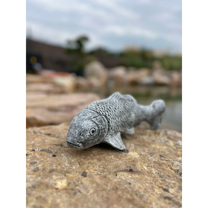 Koi szobor 45cm (szürke)