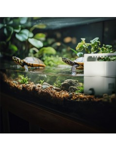 SunSun XN-400 vízszűrő teknősöknek és kétéltűeknek