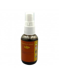 Propolys Spray 50ml tavi halaknak