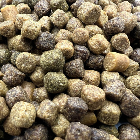 Japán mix koi táp 6 mm ( 2 kg )