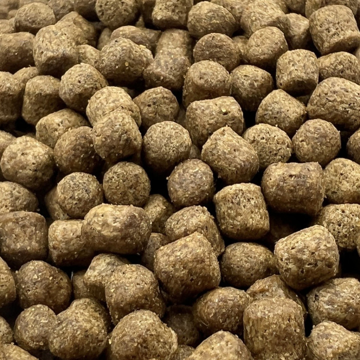 Coppens Orange növendék koi táp 6 mm ( 2 kg )