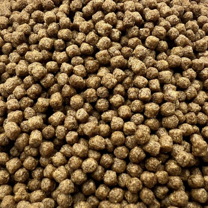 Coppens Wheat Germ búzacsírás koi táp 3 mm ( 2 kg )