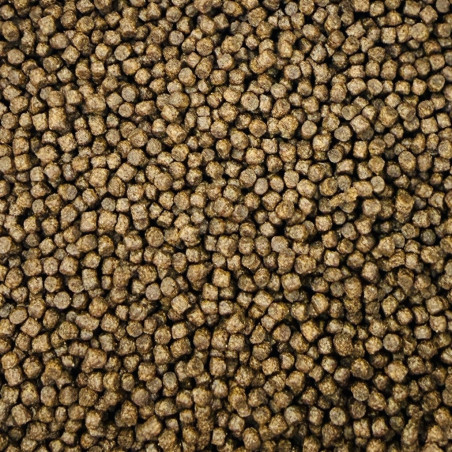 Coppens Start Alevin 2 mm / 500 g ( növendék halak számára süllyedős)