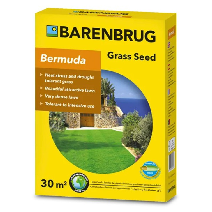 Barenbrug Bermuda Csillagpázsit