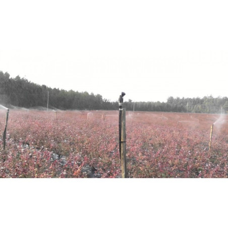 Super10 PC nyomáskompenzált szórófej 450 l/h 24° Sárga fúvókával