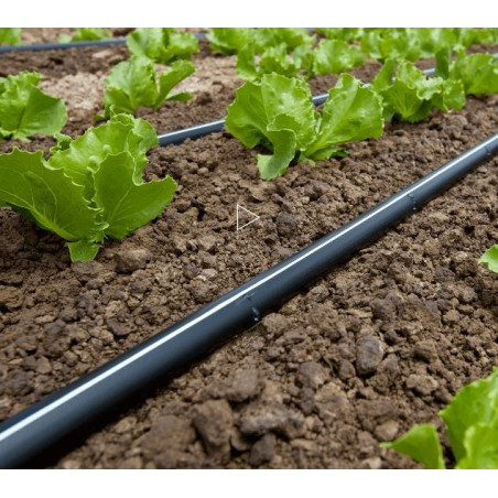 Politape csepegtető szalag 6 mil, 20 cm, 0,6 L / h, 1000 m  (149Ft/m)