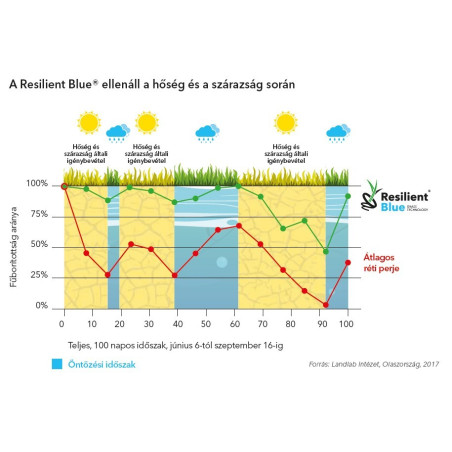 Barenbrug Resilient Blue Lawn fűmag 5kg