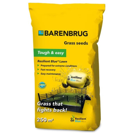 Barenbrug Resilient Blue Lawn fűmag 5kg