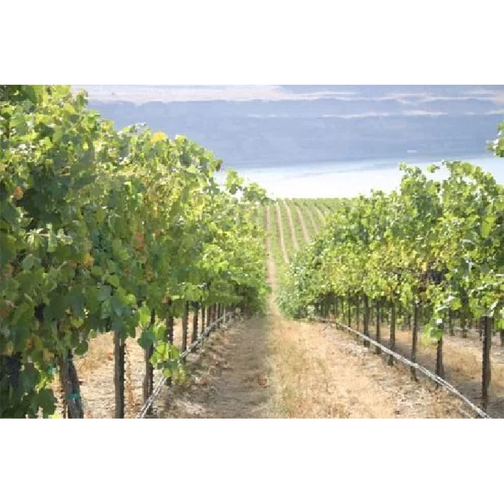 PC csepegtető cső Dynomac PC DN 16 mm 33 cm, 2 l/h, 400 m nyomás kompenzált ( föld alá is fektethető ) ( 149 Ft / m )