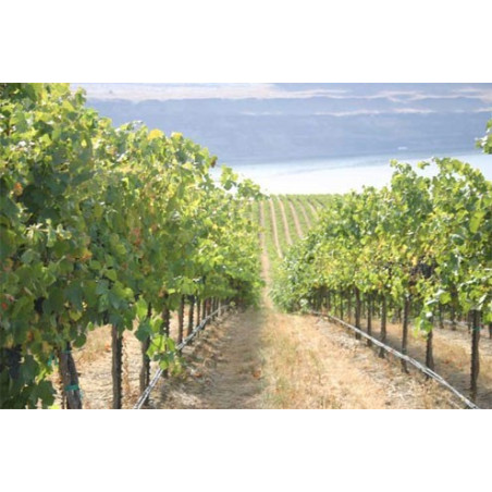 PC csepegtető cső Dynomac PC DN20mm 20cm, 2 l/h, 100 m nyomás kompenzált (föld alá is fektethető)