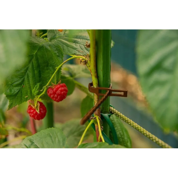 Oldható kötegelő növények rögzítéséhez 170/5,4mm barna