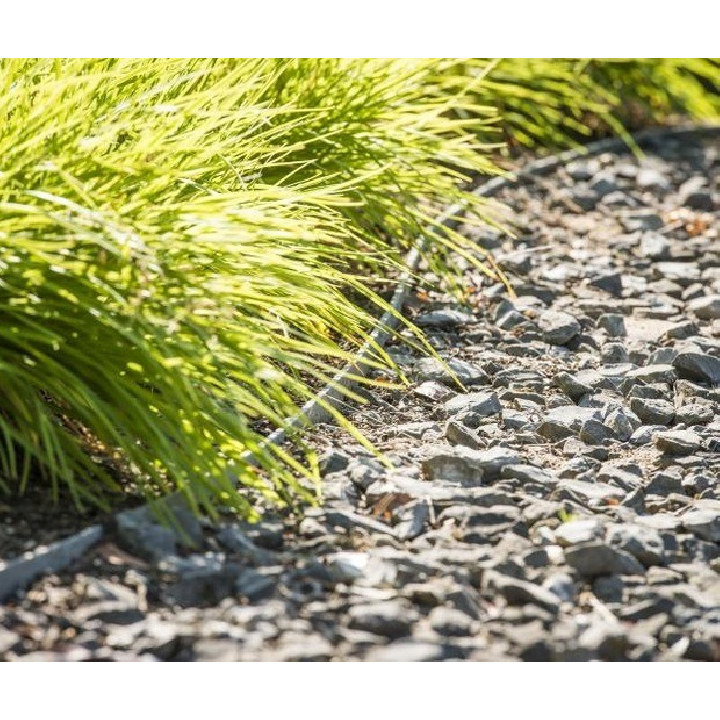 ECOLAT-TÓPEREM 19 cm   x 0,7 cm (1m)