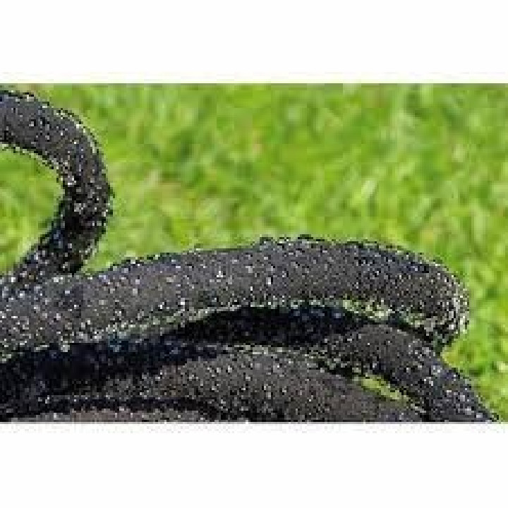 Izzadó tömlő AQUA Drop 1/2" 25m