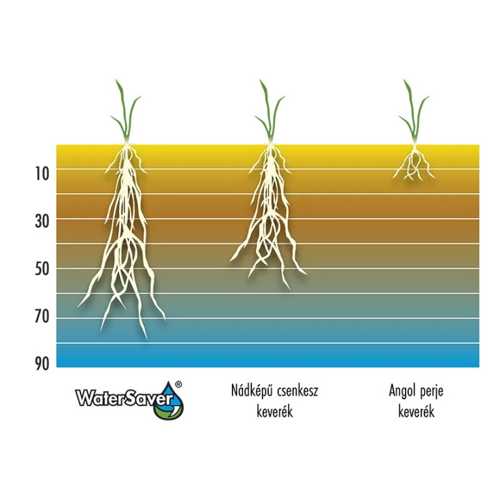 Barenbrug Water Saver fűmag 1kg