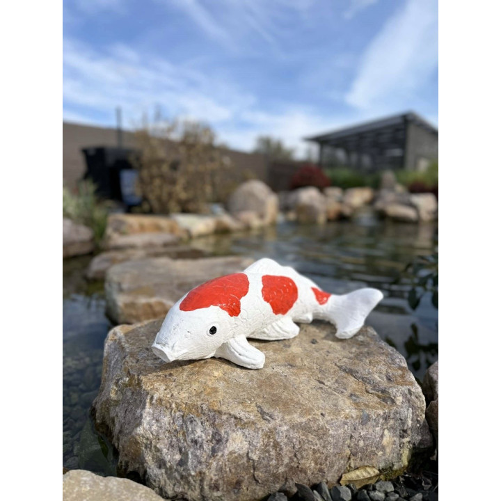 Koi szobor 45cm (színes)
